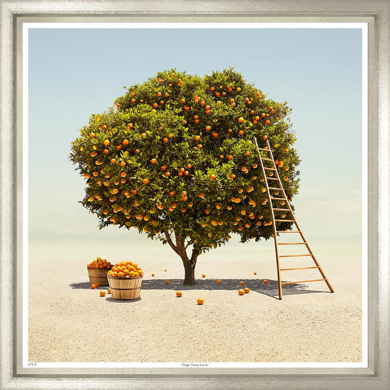 Художественный принт Orange County Summer  TS1903-S-1-624L Бренд Trowbridge