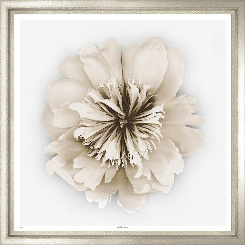 Художественный принт Peony Sepia Trowbridge TSS849-R-1-624L - photo 1