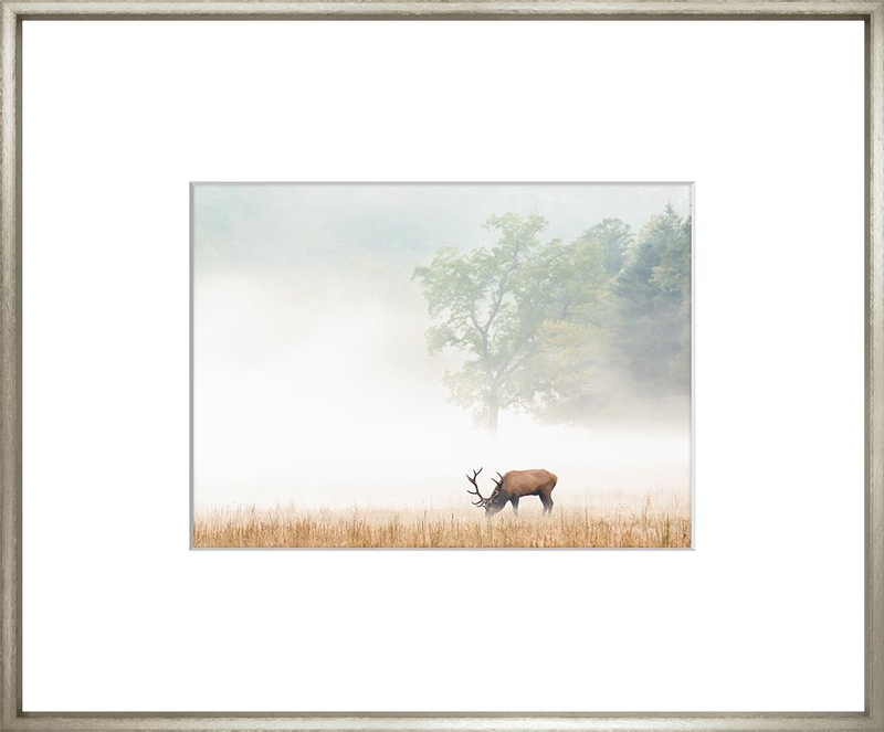 Художественный принт Minimalist Photography Collection MPC2-1744 Бренд Trowbridge