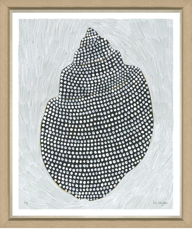 Художественный принт Shell Collection DLS-G-2-600L Trowbridge Художественный принт Shell Collection DLS-G-2-600L Trowbridge