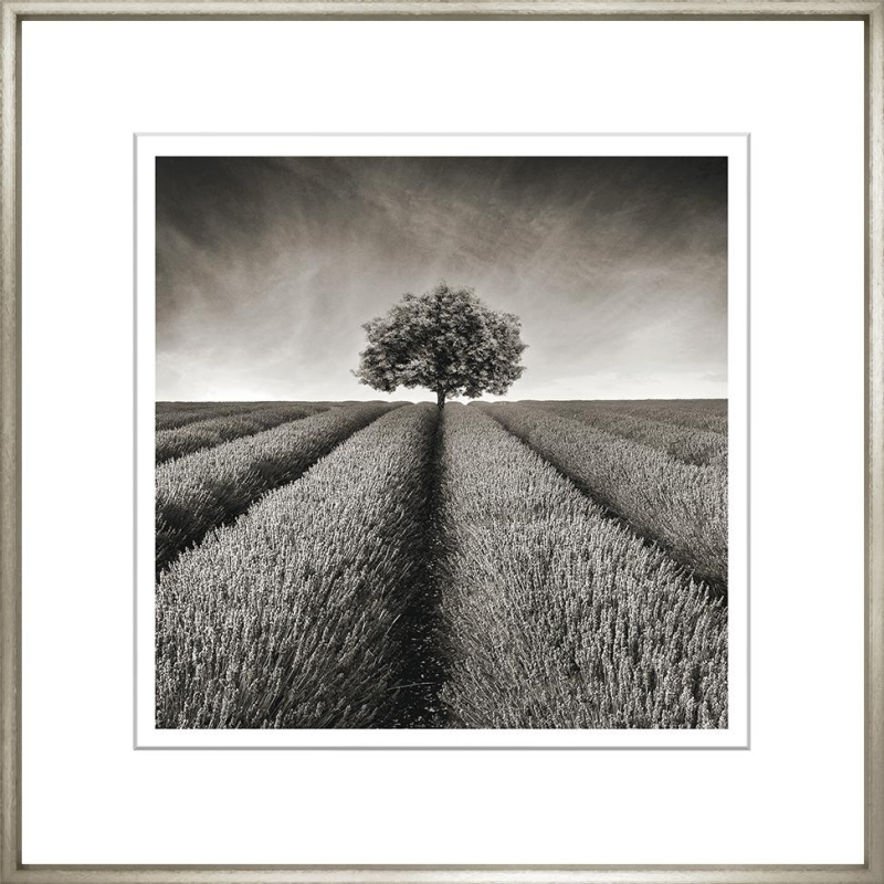 Художественный принт  Sepia Landscape Collection SLC-R-26-424 Trowbridge