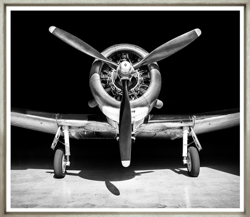 Художественный принт  Dauntless TG-2922-G-1-424 Trowbridge